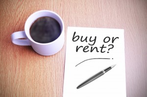 Buy or rent - Kirsten-K